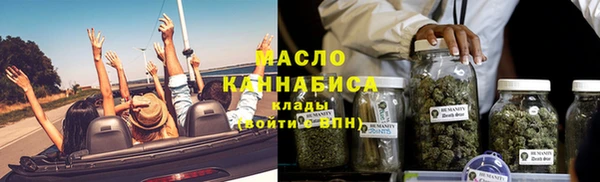 прущие грибы Бородино
