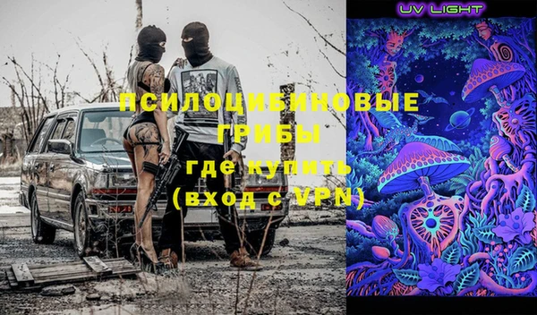 сатива Богородск