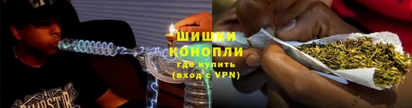 прущие грибы Бородино