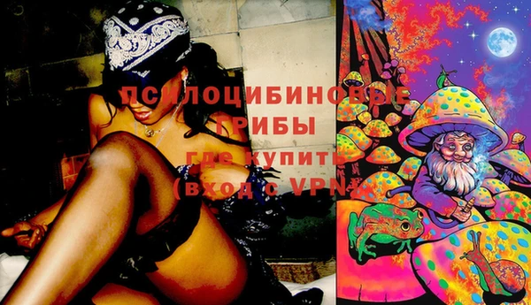 прущие грибы Бородино
